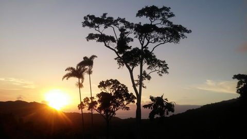 Daintree Holiday Homes - Yurara - Accommodation 4U 0