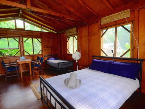 Daintree Rainforest Bungalows - Accommodation 4U 2