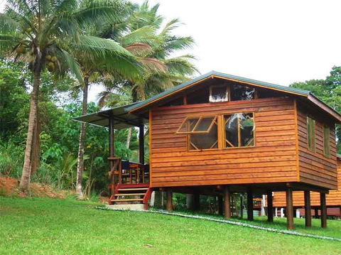 Daintree Rainforest Bungalows - Accommodation 4U 1