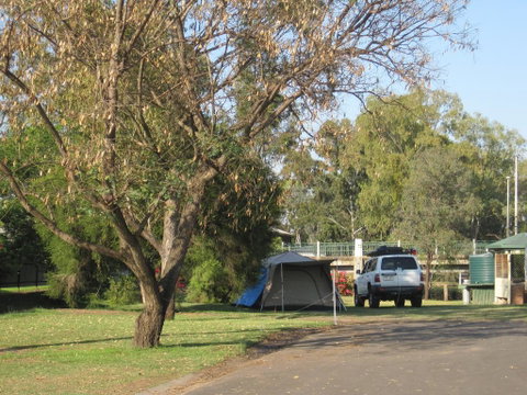 Dalby Tourist Park - Accommodation 4U 3