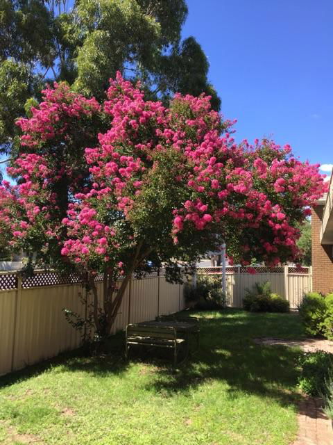 Eaglehawk Motel - Accommodation 4U 3