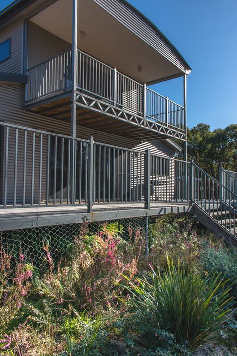 Echidna On Bruny - Accommodation 4U 3
