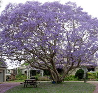 Ecotel Narooma - Accommodation 4U
