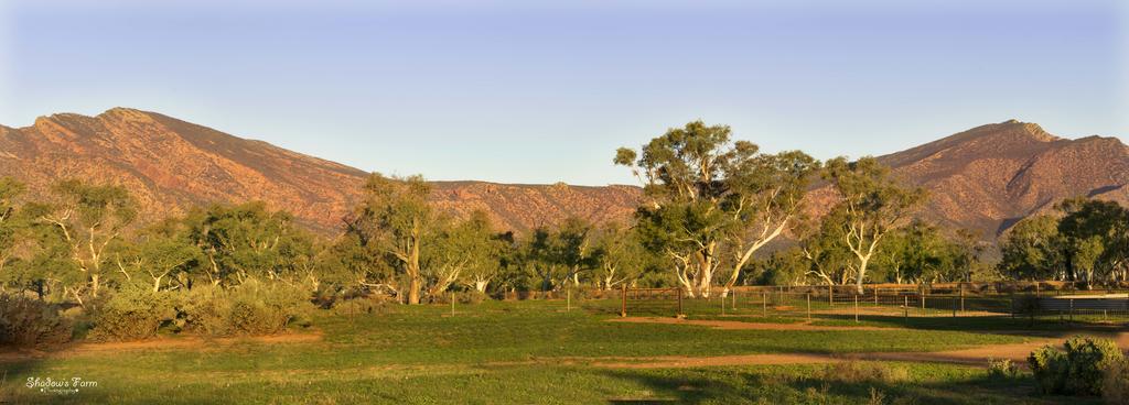 Flinders Ranges SA Accommodation 4U