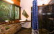 Epiphyte B & B - thumb 1