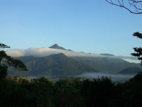 Epiphyte B & B - Accommodation 4U 0