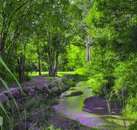 Esk Caravan Park  Rail Trail Motel - Accommodation 4U