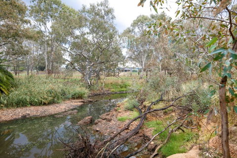 Faraday On Avoca - Accommodation 4U 3