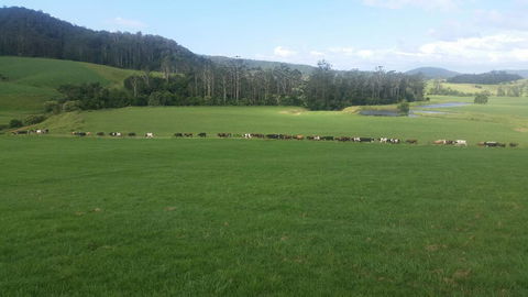 Farm Golf - Accommodation 4U 2