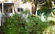 Farview Guest Accommodation - thumb 0