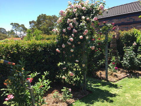 Garden Apartment - Accommodation 4U 3