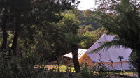 Book Zeehan Accommodation Vacations Accommodation 4U Accommodation 4U