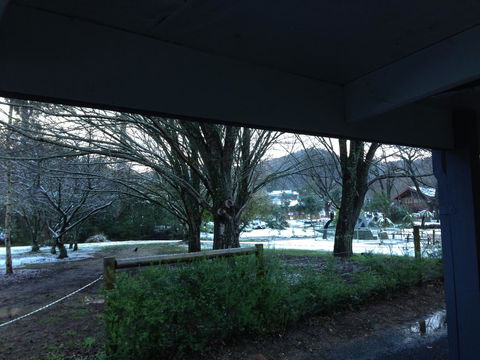 Goldberryaccommodation - Accommodation 4U 3