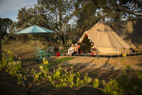 Grapevine Glamping - Accommodation 4U 0