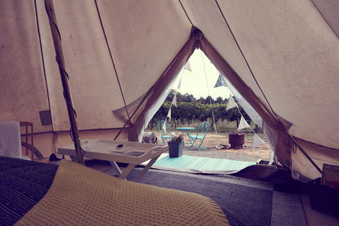 Grapevine Glamping - Accommodation 4U 3