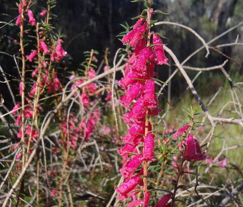 Hawksview At Mafeking - Accommodation 4U 2