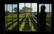 Highbank Country Accommodation - thumb 0