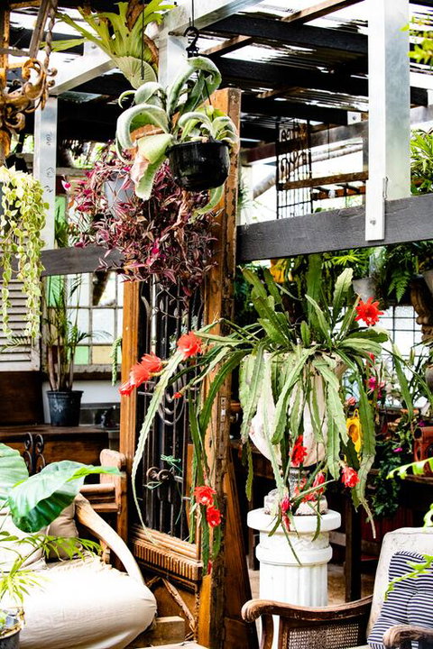 Jaspers Apartments - Accommodation 4U 3