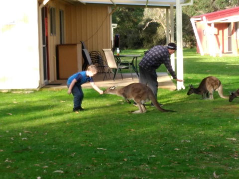 Kalgan River Chalets And Caravan Park - Accommodation 4U 0