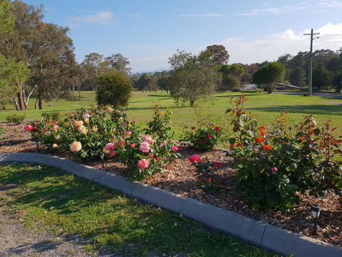 Kandos Fairways Motel - Accommodation 4U 2