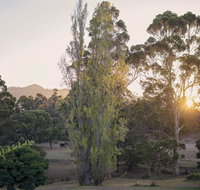 Karribank and the Karri On Bar - Accommodation 4U