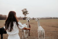 Book Darawank Accommodation Vacations Accommodation 4U Accommodation 4U