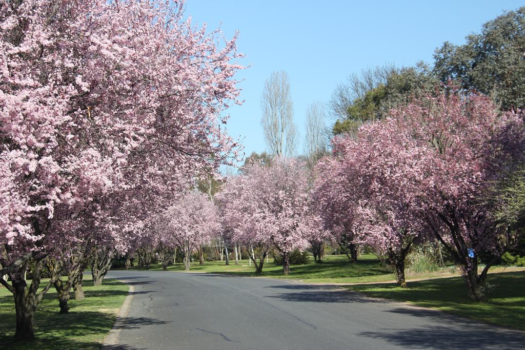 Kelso NSW Accommodation 4U