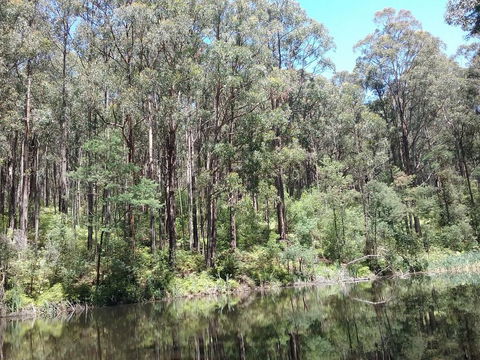Lyrebird Gully Retreat - Accommodation 4U 2
