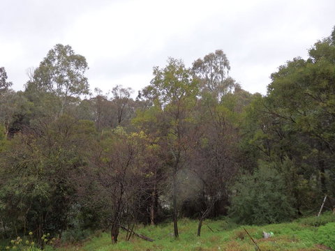 Mandall Avenue - Accommodation 4U 2