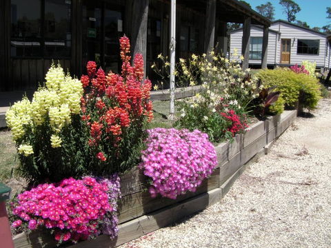 Mansfield Holiday Park - Accommodation 4U 3
