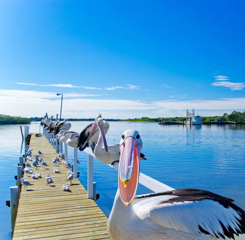 Moby Dick Waterfront Resort Motel - Accommodation 4U 0