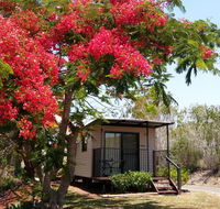 Mt Larcom Tourist Park - Accommodation 4U