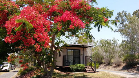 Mt Larcom Tourist Park - Accommodation 4U 0