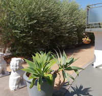 Mt.Lawley superb 2 BR Apartment Ideally located 5 - Accommodation 4U