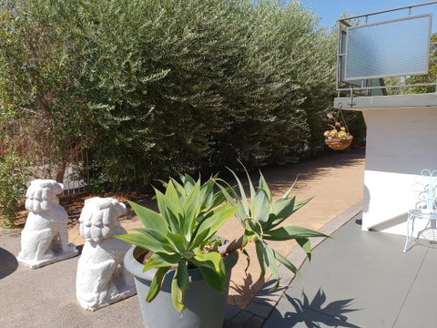 Mt.Lawley Superb 2 BR Apartment Ideally Located 5 - Accommodation 4U 0
