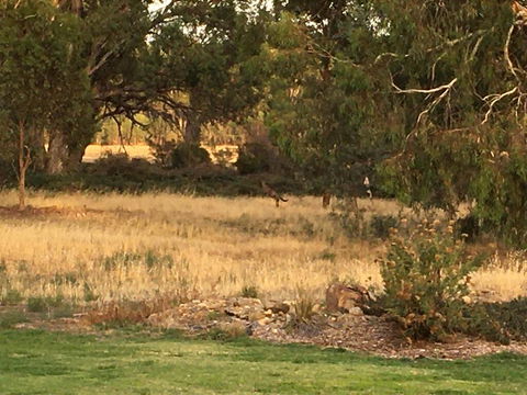 Murrord Wetlands - Accommodation 4U 3