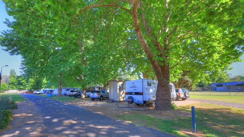 Myrtleford Holiday Park - Accommodation 4U 1