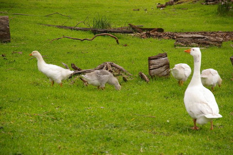 Naimanya Cottage - Accommodation 4U 3