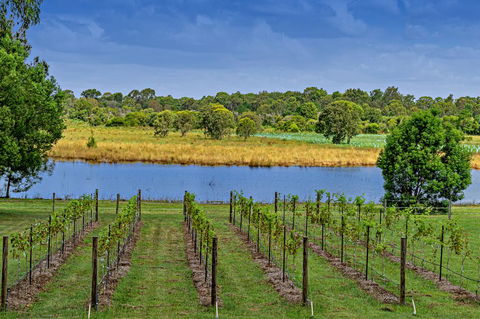 Narangba Motel (formerly Brisbane North B&B And Winery) - Accommodation 4U 3