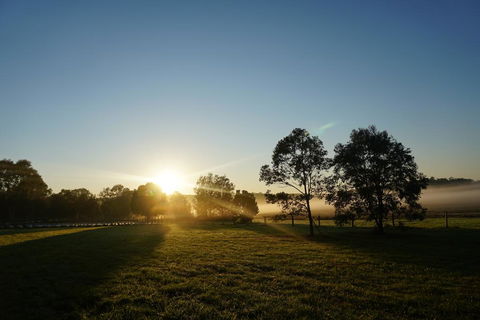 Narangba Motel (formerly Brisbane North B&B And Winery) - Accommodation 4U 2