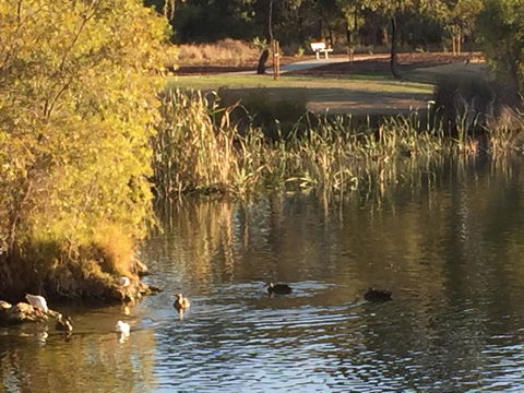 Lakeside Views - Accommodation 4U 15