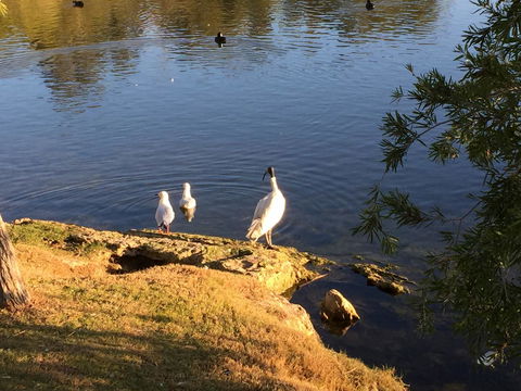 Lakeside Views - Accommodation 4U 19