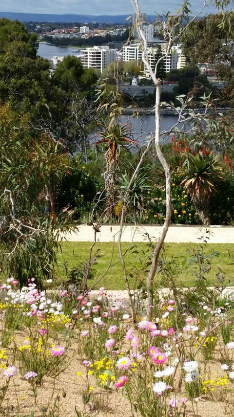 Dunes Scarborough Beach - Accommodation 4U 43