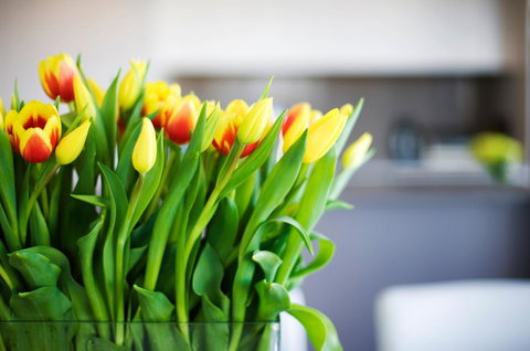 Claremont Quarter Luxury Apartment - Accommodation 4U 11