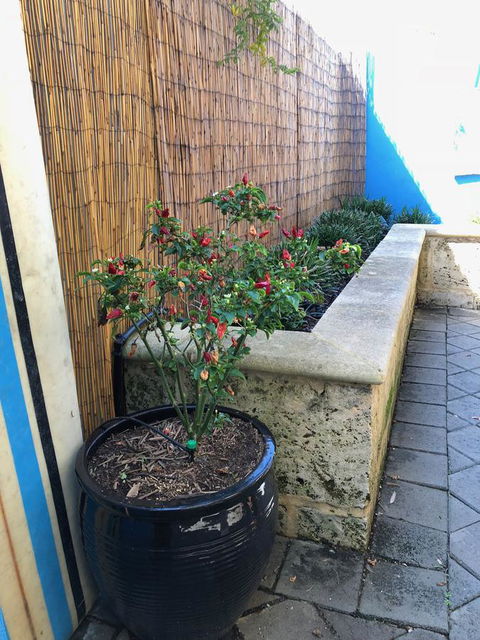 BeachHideaway@Scarborough - Accommodation 4U 33