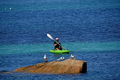 Sandpiper Retreat - Accommodation 4U 29