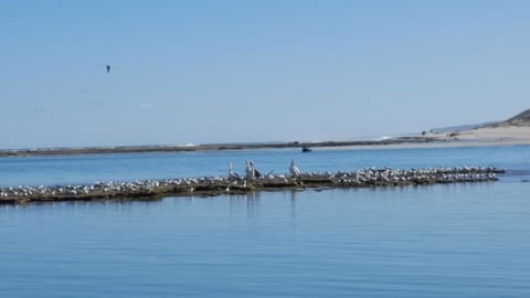 Kalbarri Seaview Villas - Accommodation 4U 33