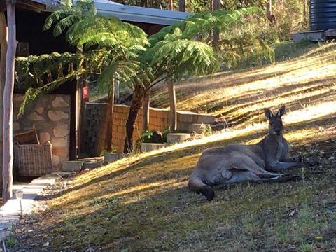 Kangaroo Valley Cottage - Accommodation 4U 3