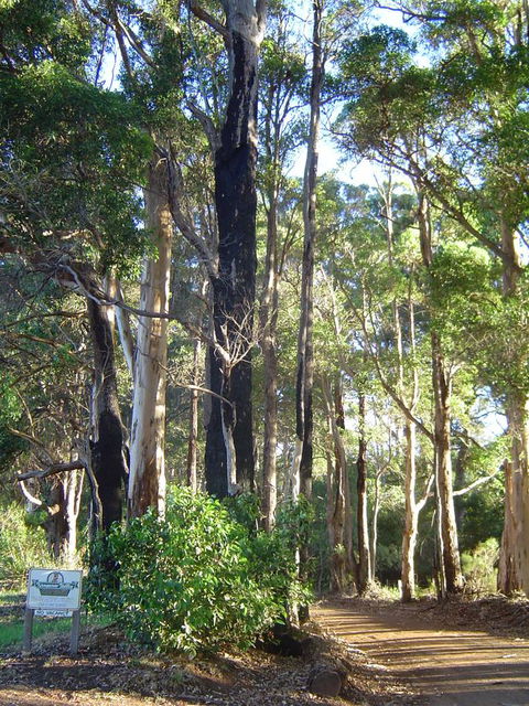 Kangaroo Valley Cottage - Accommodation 4U 21