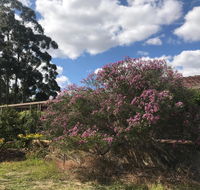 Cockburn Retreat Home  - Accommodation 4U